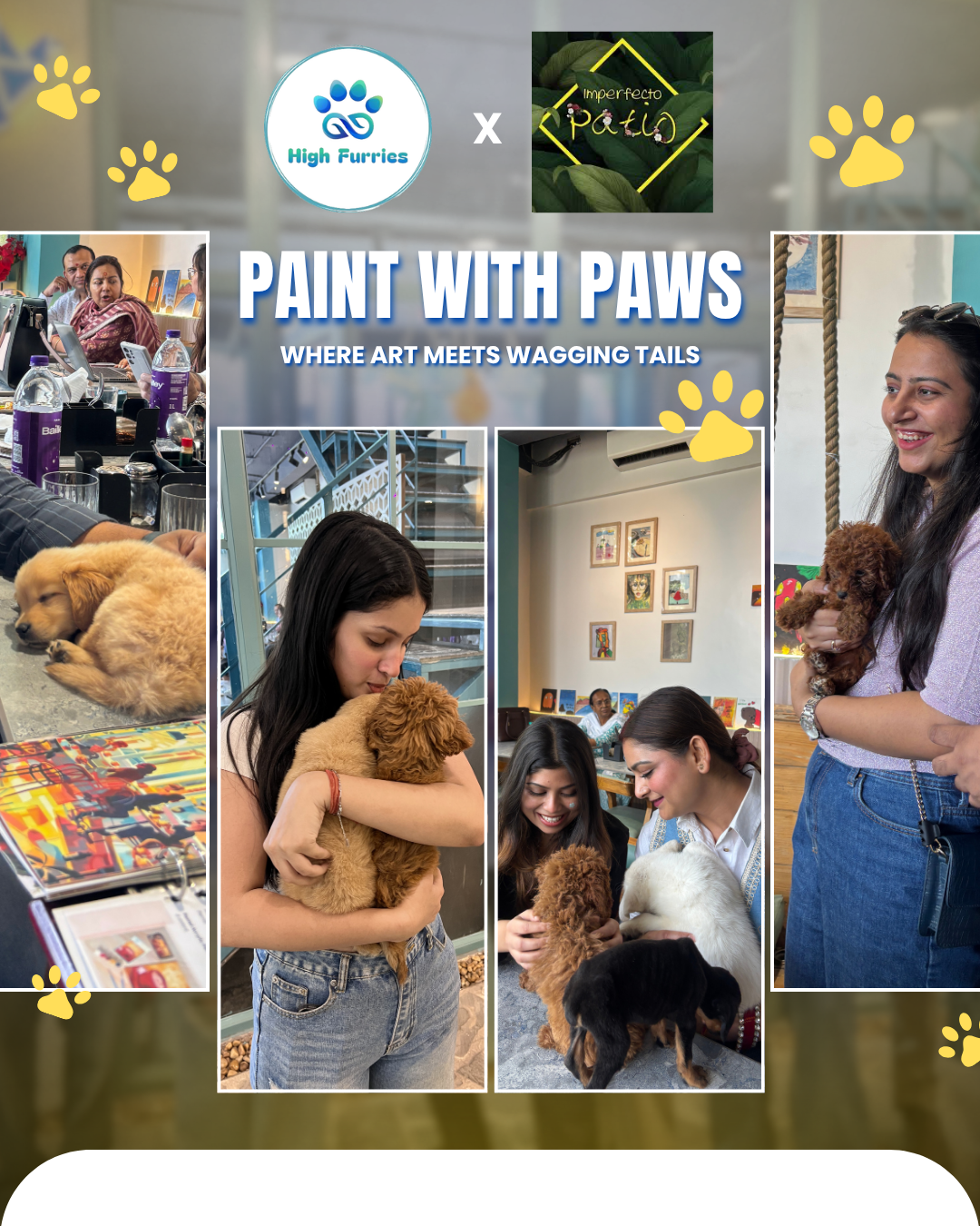 Paint With Pets By High Furries