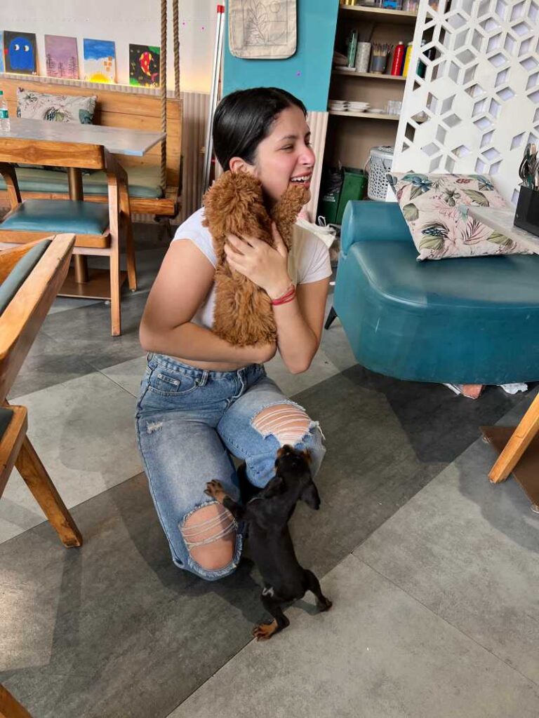 Paint With Pets By High Furries