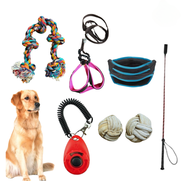 Dog Training Kit