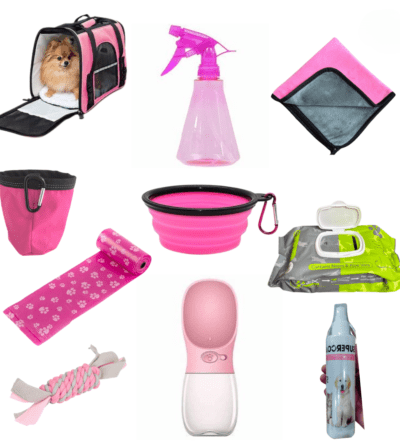 Dog Travel Kit