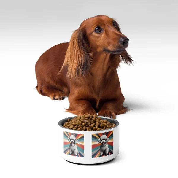 Custom Pet Food Bowl