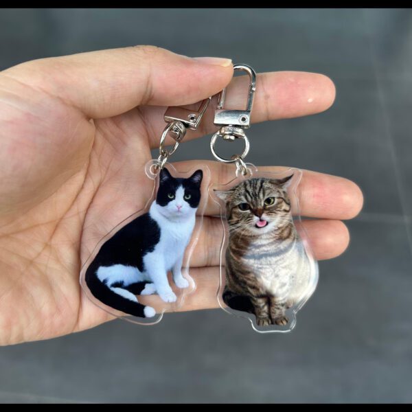 Custom Pet Keychain